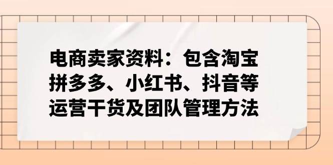 （14354期）电商卖家资料：包含淘宝、拼多多、小红书、抖音等运营干货及团队管理方法-云商网创
