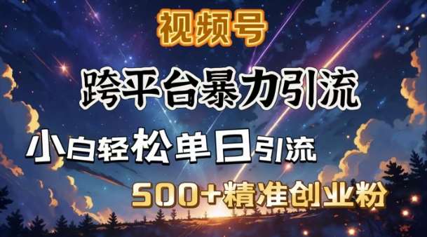 跨平台暴力引流，私域完美闭环，日引500+精准创业粉-云商网创