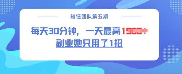 副业她只用了1招，每天30分钟，无脑二创，一天最高1.5k-云商网创