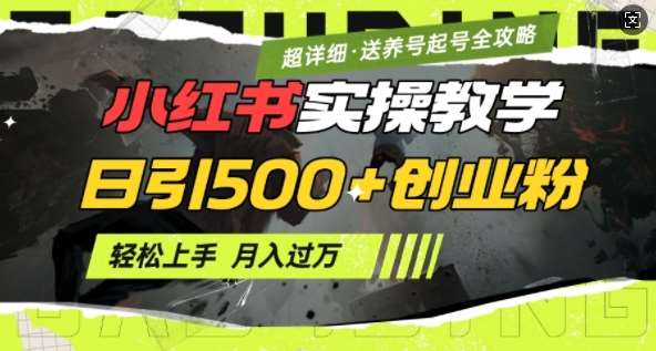 2月小红书最新日引500+创业粉实操教学【超详细】小白轻松上手，月入1W+，附小红书养号起号SOP-云商网创