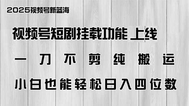 （14310期）视频号短剧挂载功能上线，一刀不剪纯搬运，小白也能轻松日入四位数-云商网创