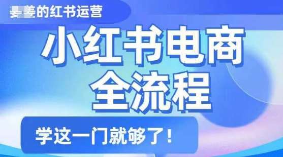 小红书电商全流程，精简易懂，从入门到精通，学这一门就够了-云商网创