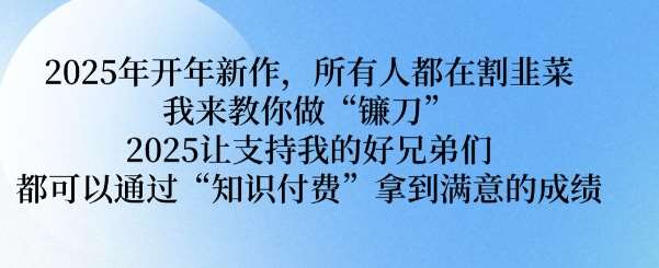 2025年开年新作，所有人都在割韭菜，我来教你做“镰刀” 2025让支持我的好兄弟们都可以通过“知识付费”拿到满意的成绩【揭秘】-云商网创