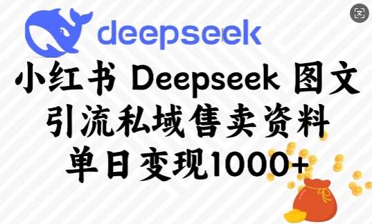 小红书Deepseek图文引流私域售卖资料，单日变现多张-云商网创