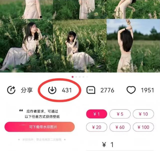 图片[2]-最新图虫搬运项目，收益无上限，利用AI小白也可日赚500+-云商网创