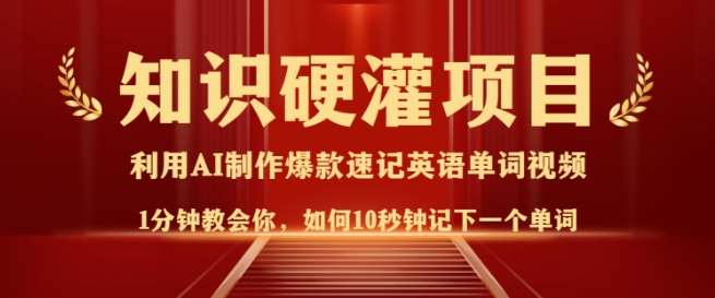 知识硬灌，10秒钟让你记住一个单词，3分钟一个视频，日入多张不是梦-云商网创