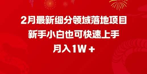 2月最新细分领域落地项目，新手小白也可快速上手，月入1W-云商网创