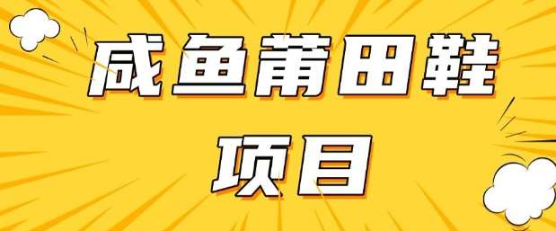 闲鱼高转化项目，手把手教你做，日入3张+(详细教程+货源)-云商网创