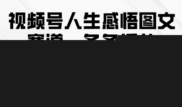 视频号人生感悟图文赛道，条条播放10w+，这个方法做视频号太牛了-云商网创