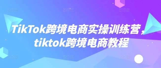 TikTok跨境电商实操训练营，tiktok跨境电商教程-云商网创