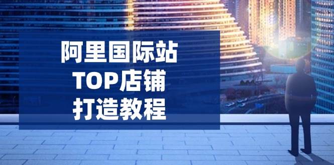 （14269期）阿里国际站TOP店铺打造教程：涵盖平台到高阶，解决运营难题，提升询盘-云商网创