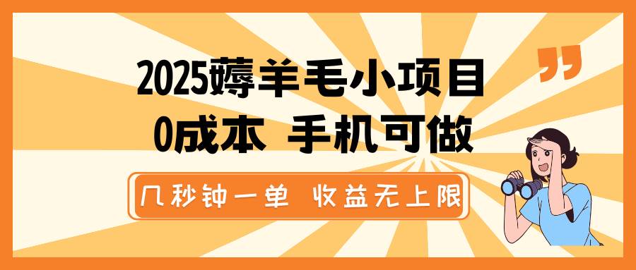 2025薅羊毛小项目，0成本 手机可做，几秒钟一单，收益无上限-云商网创