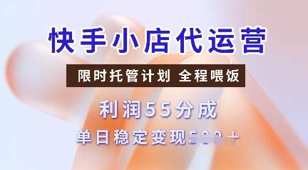 快手小店代运营，限时托管计划，收益55分，单日稳定变现多张【揭秘】-云商网创