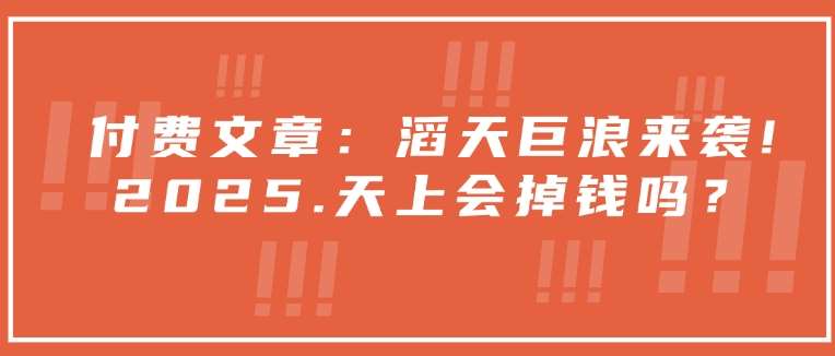 付费文章：滔天巨浪来袭！2025天上会掉钱吗？-云商网创