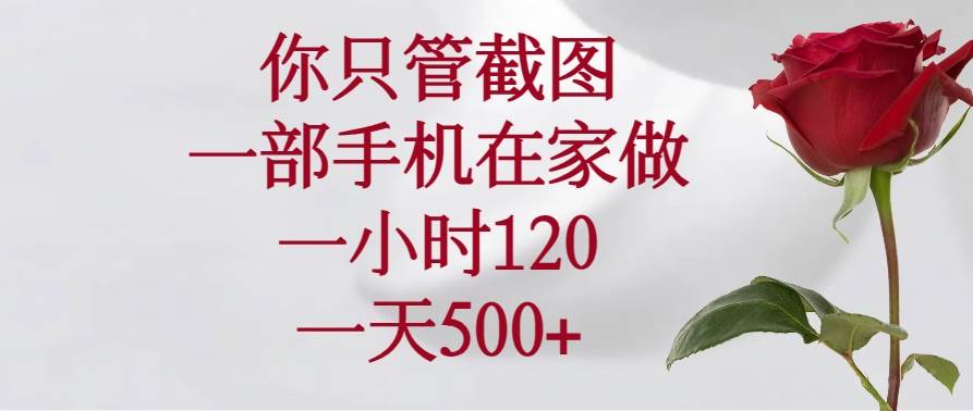 （14248期）你只管截图，一部手机在家做，一小时120，一天500+-云商网创