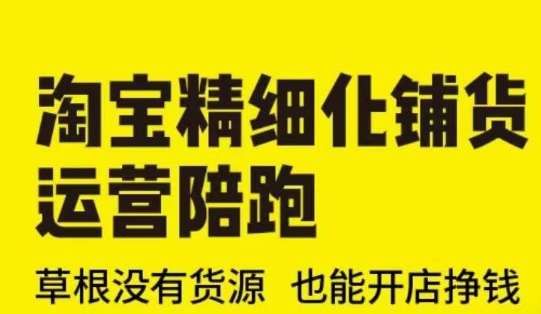 淘宝精细化铺货运营陪跑(部分更新至2025)，草根没有货源 也能开店挣钱-云商网创