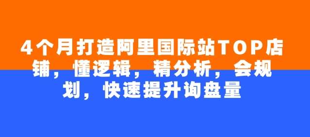 4个月打造阿里国际站TOP店铺，懂逻辑，精分析，会规划，快速提升询盘量-云商网创