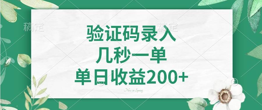 （14221期）验证码录入，几秒一单，单日收益200+-云商网创