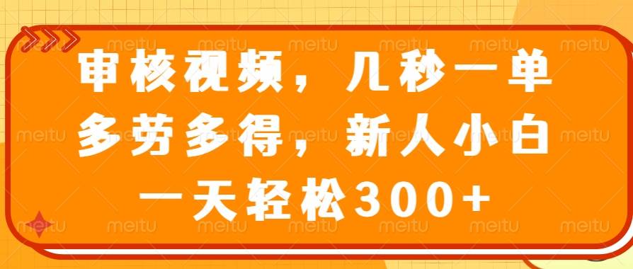 （14294期）审核视频，几秒一单，多劳多得，新人小白一天轻松300+-云商网创