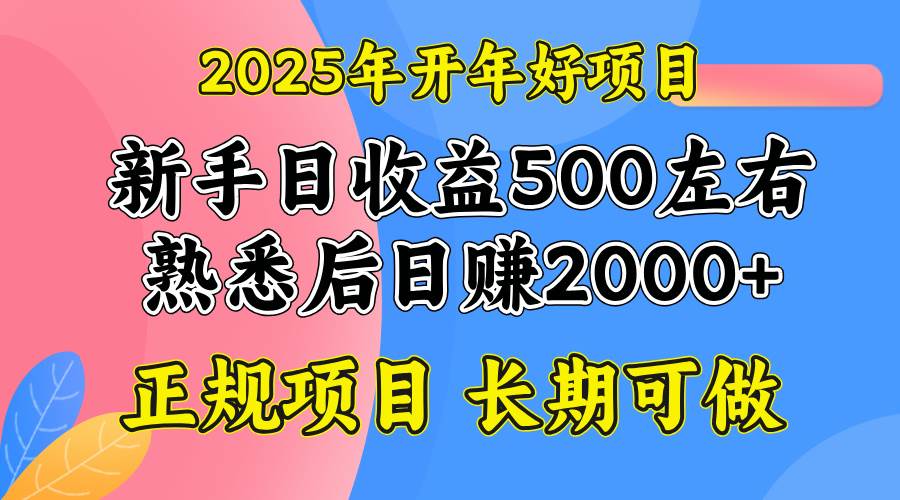 （14076期）2025开年好项目，单号日收益2000左右-云商网创