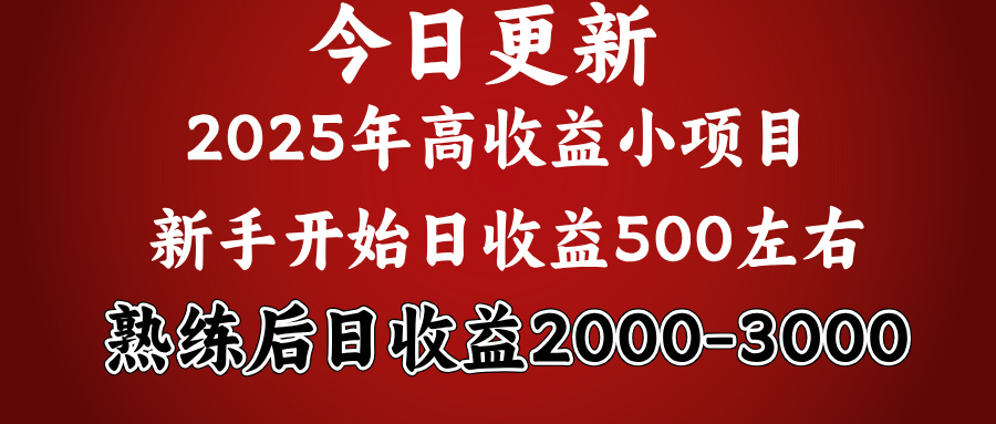 好项目一眼就能看出来，日收益1000，长久可做，2025拼的就是我比你勤奋-云商网创