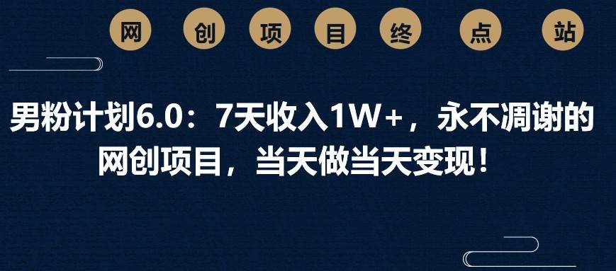 男粉计划6.0：7天收入1W+，永不凋谢的网创项目，当天做当天变现！-云商网创
