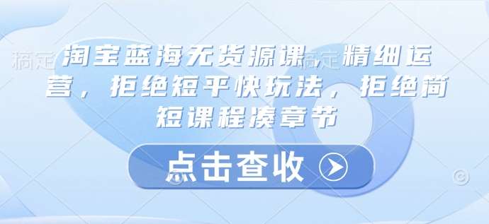 淘宝蓝海无货源课，精细运营，拒绝短平快玩法，拒绝简短课程凑章节-云商网创