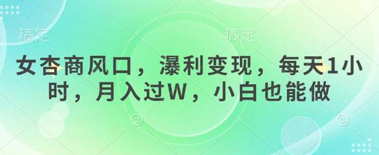 女杏商风口，瀑利变现，每天1小时，月入过W，小白也能做-云商网创
