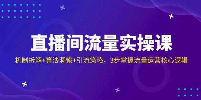 （14122期）直播间流量实操课：机制拆解+算法洞察+引流策略，3步掌握流量运营核心逻辑-云商网创