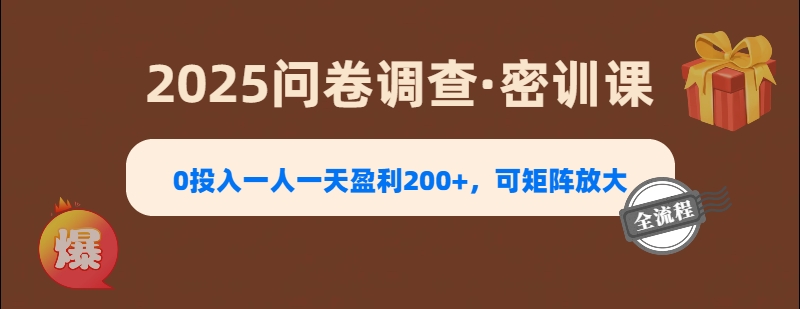 2025《问卷调查》0投入一人一天盈利200+，可矩阵放大-云商网创