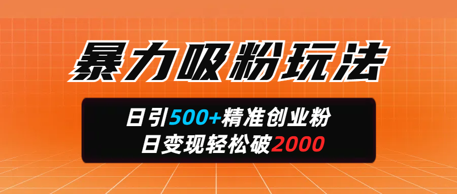 暴力吸粉玩法，日引500+精准创业粉，日变现轻松破2000-云商网创