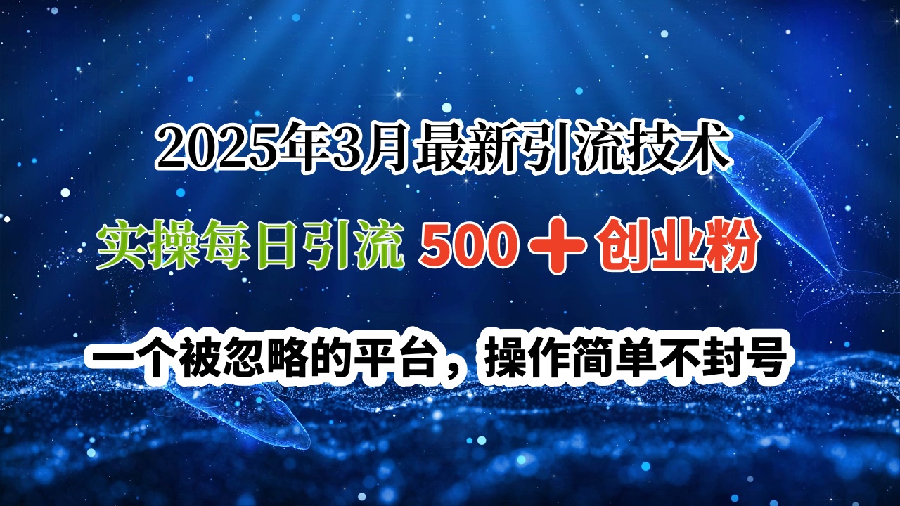 2025年3月最新引流技术，实操每日引流500➕创业粉，一个被忽略的平台，操作简单不封号-云商网创