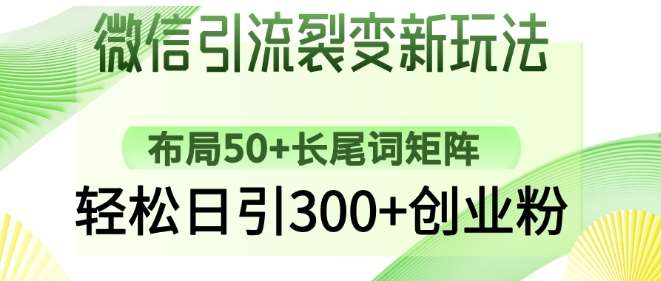 微信引流裂变新玩法：布局50+长尾词矩阵，轻松日引300+创业粉-云商网创