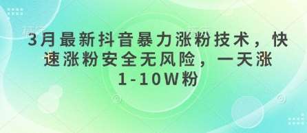 3月最新抖音暴力涨粉技术，快速涨粉安全无风险，一天涨1-10W粉-云商网创