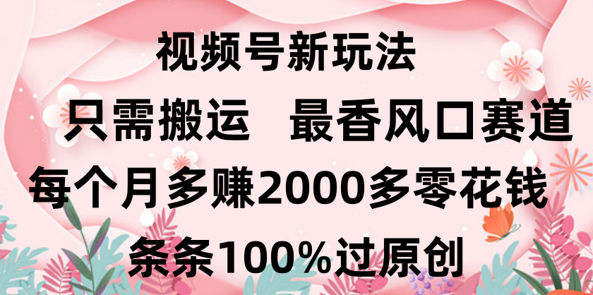 日入2000+，条条100%过原创，视频号最香风口赛道，小白轻松上手-云商网创