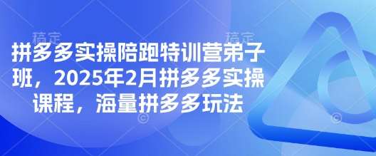 拼多多实操陪跑特训营弟子班，2025年2月拼多多实操课程，海量拼多多玩法-云商网创