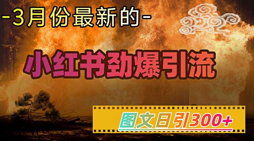 小红书超劲爆引流手段，图文日引300+轻松变现1W-云商网创