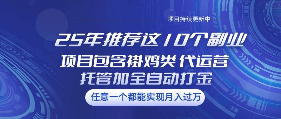 25年推荐这10个副业 项目包含褂鸡类、代运营托管类、全自动打金类-云商网创
