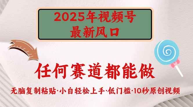 （14453期）2025年视频号新风口，低门槛只需要无脑执行-云商网创