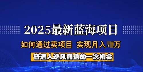 2025蓝海项目，普通人如何通过卖项目，实现月入过W，全过程【揭秘】-云商网创