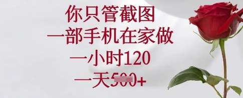 你只管截图，一部手机在家做，一小时120.一天5张【揭秘】-云商网创