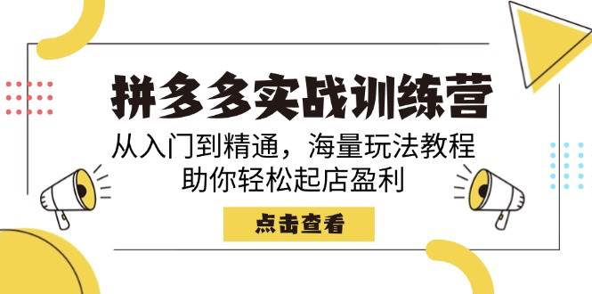 （14392期）拼多多实战训练营，从入门到精通，海量玩法教程，助你轻松起店盈利-云商网创