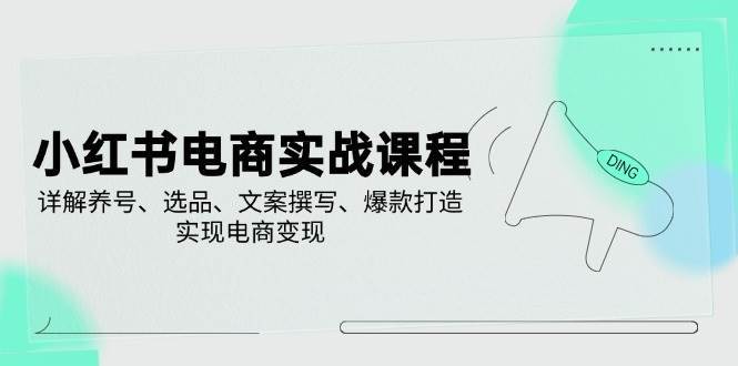 小红书电商实战课程，详解养号、选品、文案撰写、爆款打造，实现电商变现-云商网创