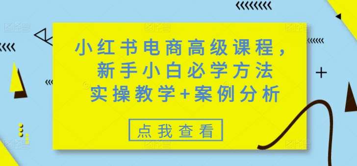 小红书电商高级课程，新手小白必学方法，实操教学+案例分析-云商网创