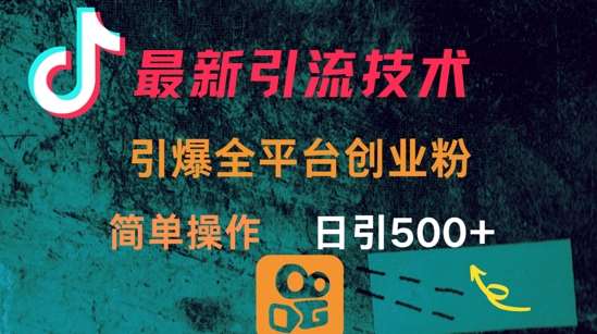 最新引流方法，引爆全平台的一个创业粉，简单操作日引300+-云商网创