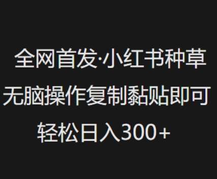 全网首发，小红书种草无脑操作，复制黏贴即可，轻松日入3张-云商网创
