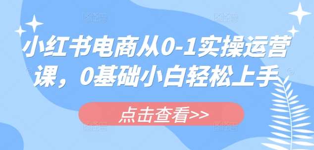 小红书电商从0-1实操运营课，0基础小白轻松上手-云商网创