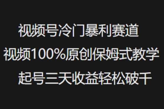 视频号冷门暴利赛道视频100%原创保姆式教学起号三天收益轻松破千-云商网创
