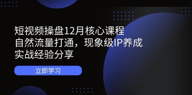 短视频操盘12月核心课程：自然流量打通，现象级IP养成，实战经验分享-云商网创