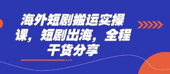 海外短剧搬运实操课，短剧出海，全程干货分享-云商网创